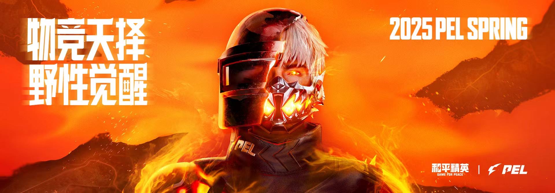 和平精英「火锅」辅助,站长首推